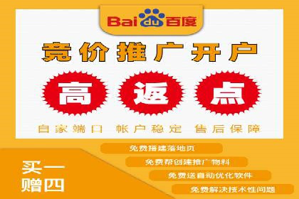 某科技公司的信息流广告投放策略与效果评估